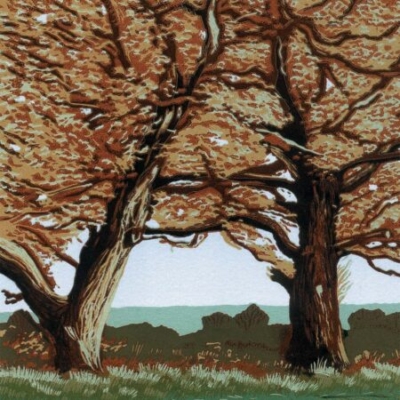 Autumn Trees, 20x20cm, ed: 20, £150