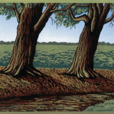 Two Trees, 20x24, ed: 15, £175