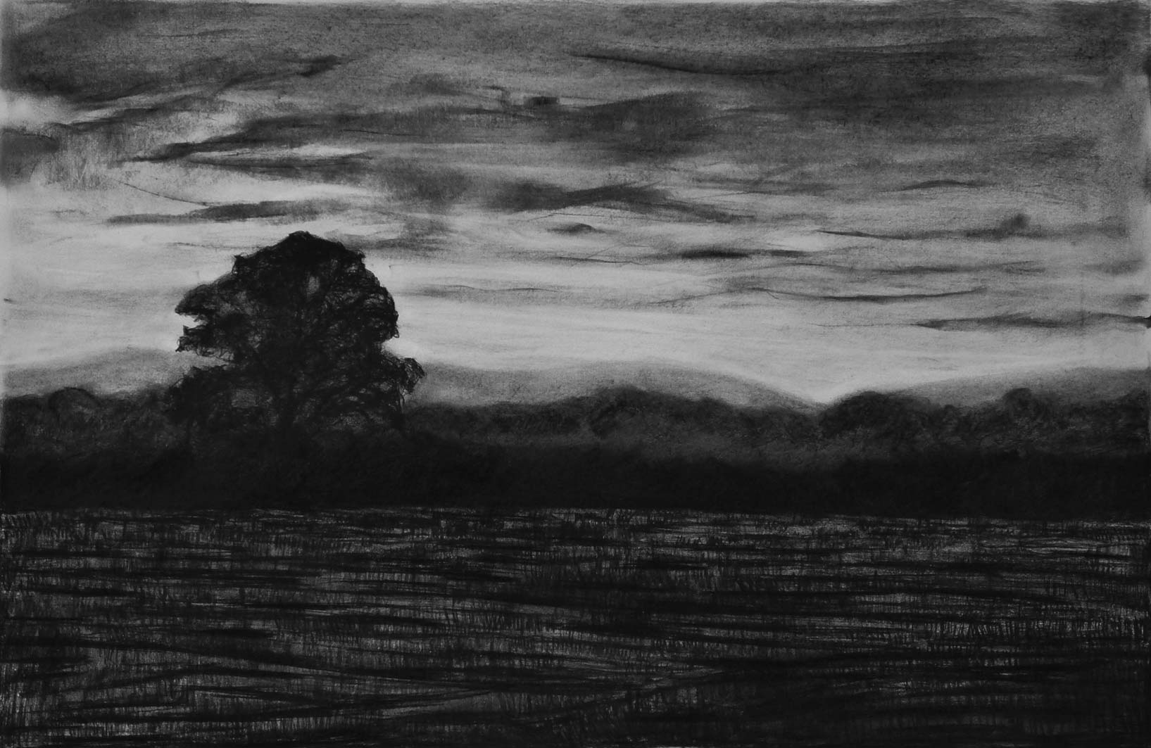 Early One Morning, charcoal & conte, private collection