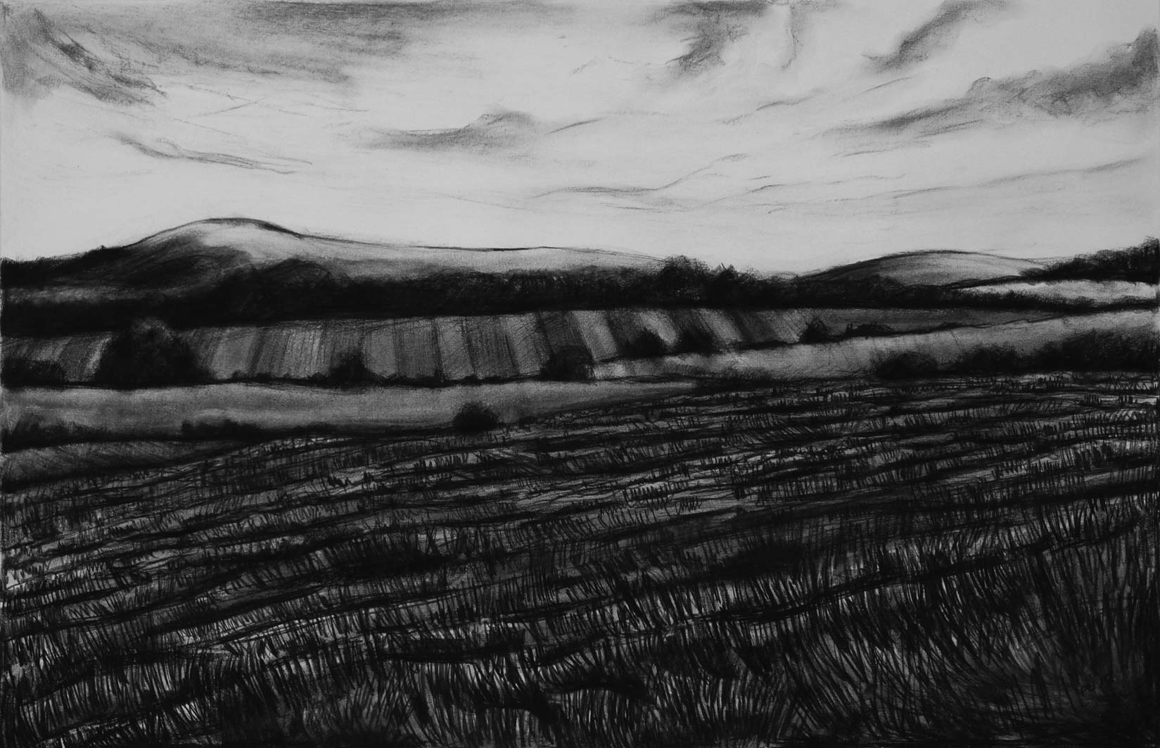 Wiltshire Landscape, charcoal & conte, private collection