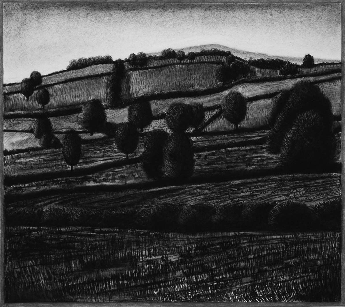 Fields and Trees, charcoal & conte, private collection