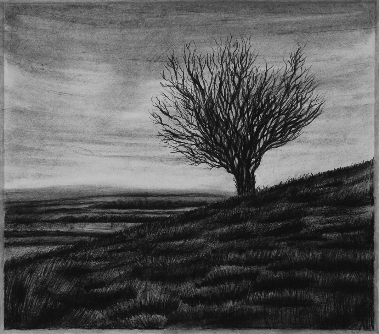 On Hambledon Hill, charcoal & conte, private collection