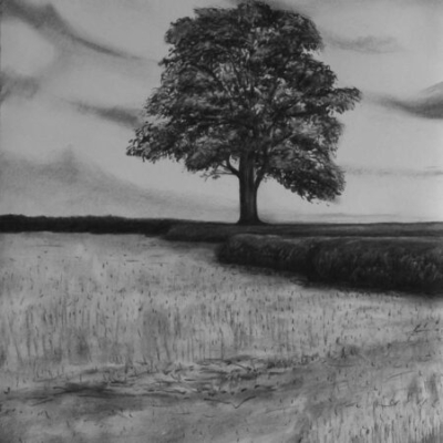 Tree on Dartmoor, charcoal, private collection