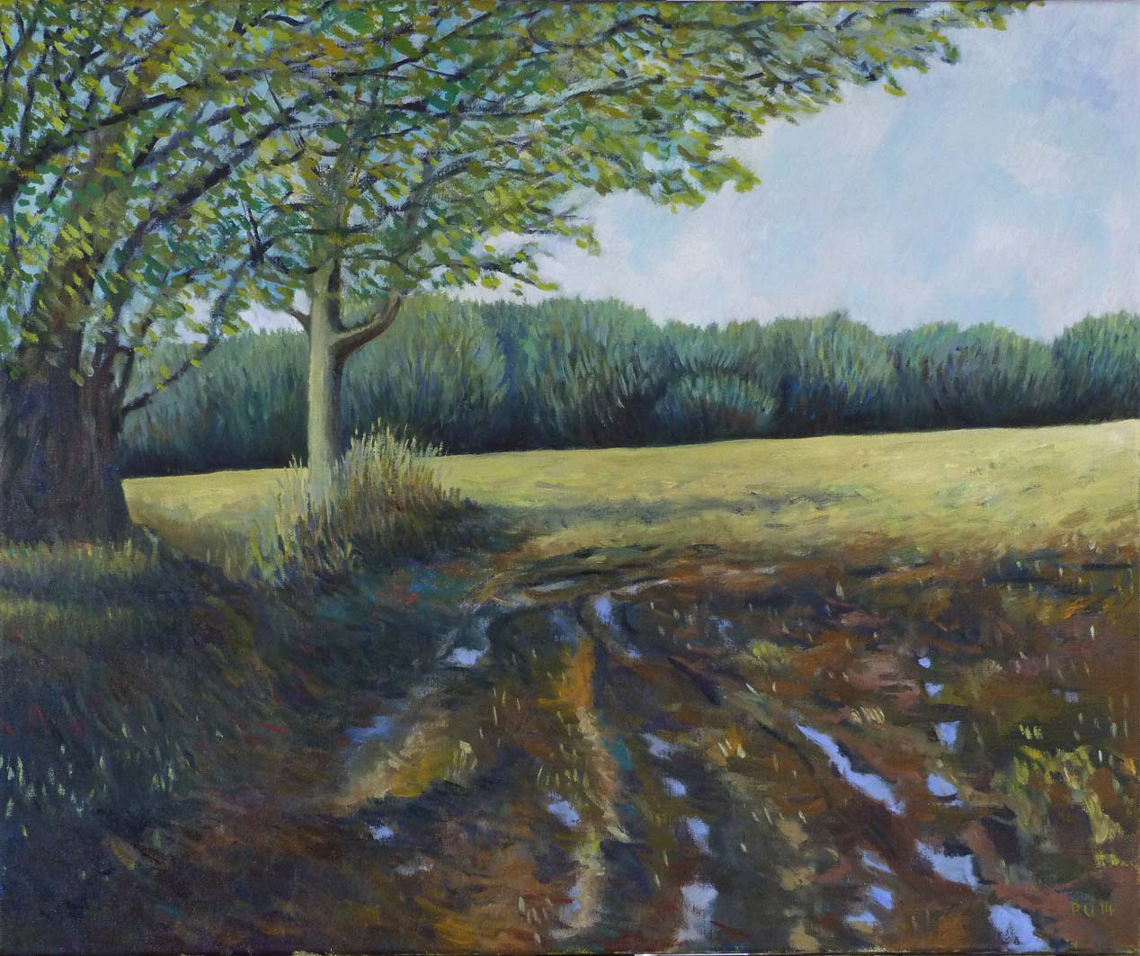Muddy Field, oil on canvas, 50x60cm