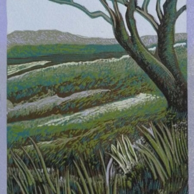 Dartmoor Landscape, 22x15cm, ed: 25, £130
