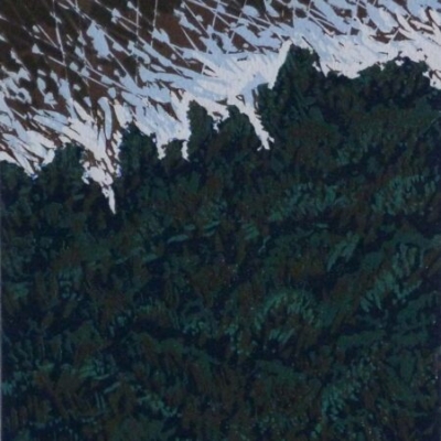 Edge of the Woods, 17.5x13.5cm, ed:7, £100