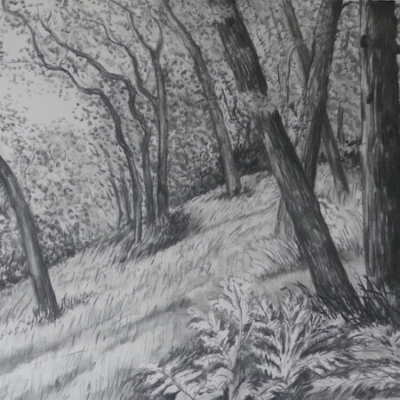 On a Slope, Culbone Woods, charcoal drawing