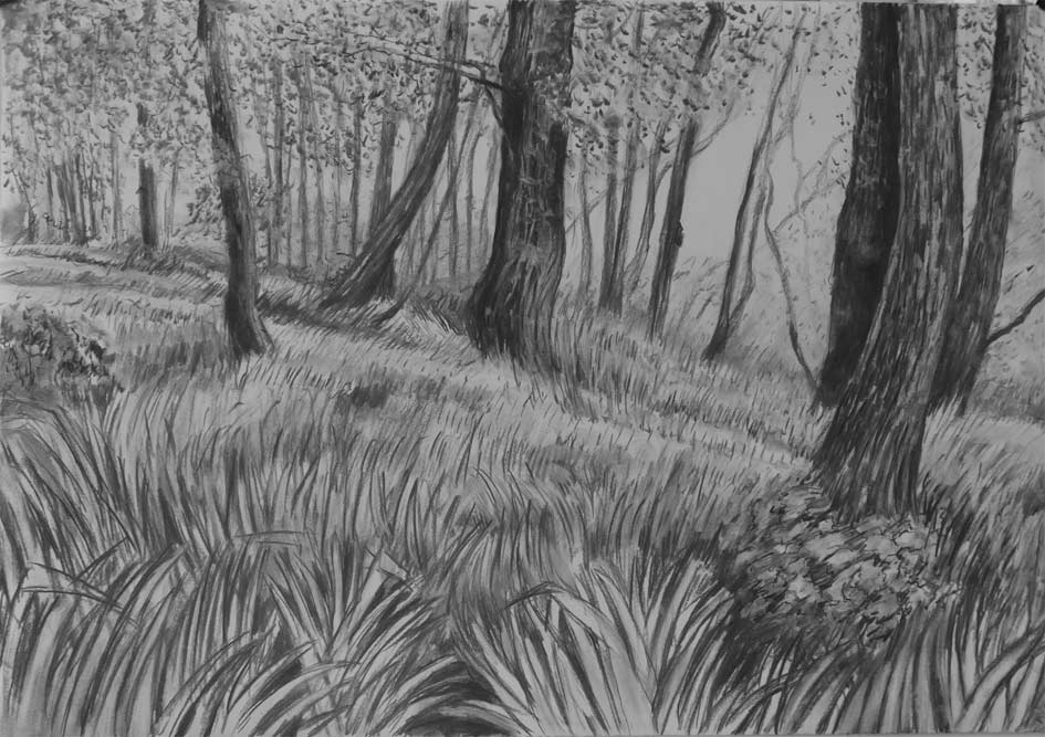 Charcoal Drawing Edge-of-the-World 2021, 53x76cm