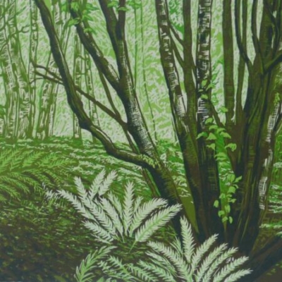 'Birch Trees, Culbone Wood',  (2021), lino print, 22x29cm, edition of 20, £250