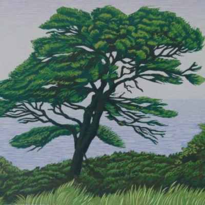 'Pinus Radiata' (Monterey Pine), lino print, 22x29cm, edition of 20, £250