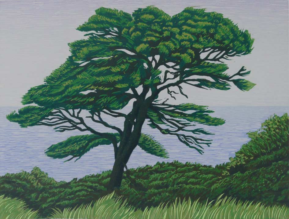 'Pinus Radiata' (Monterey Pine), lino print, 22x29cm, edition of 20, £250