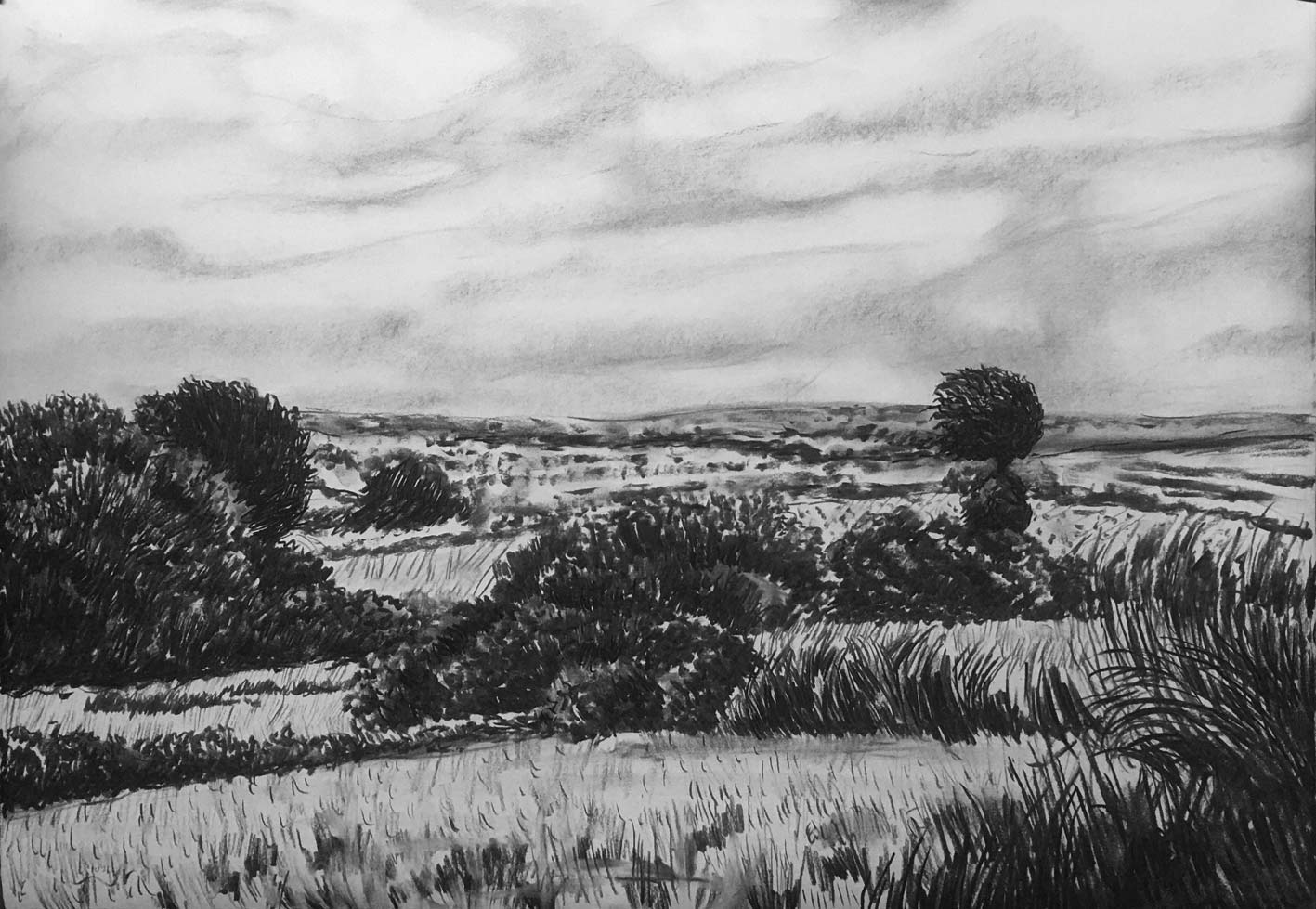 Dartmoor Landscape, charcoal, 53x76cm, £350