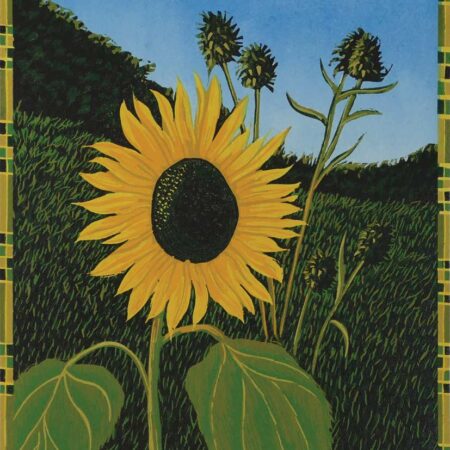 Sunflower and Kardoom Heads