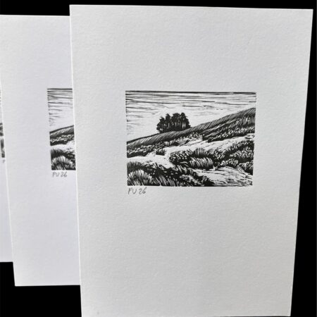 Set of 5 original wood engraving cards (Dartmoor Landscape)